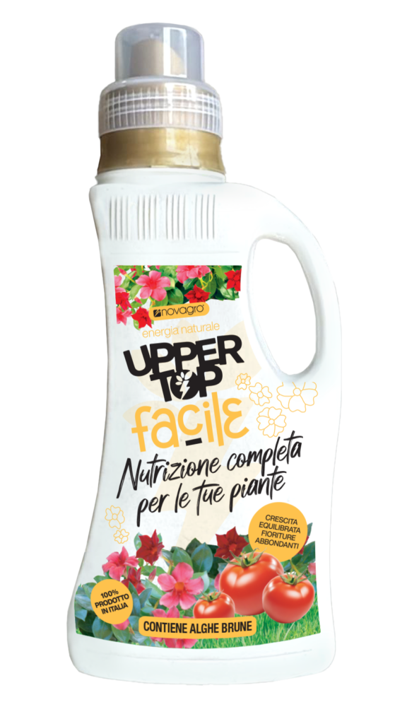 FACILE 500 ML flacone