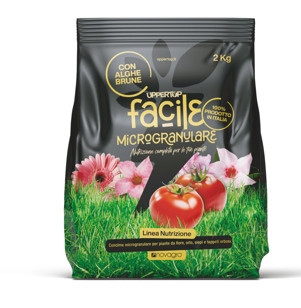 FACILE 2 KG sacchetto