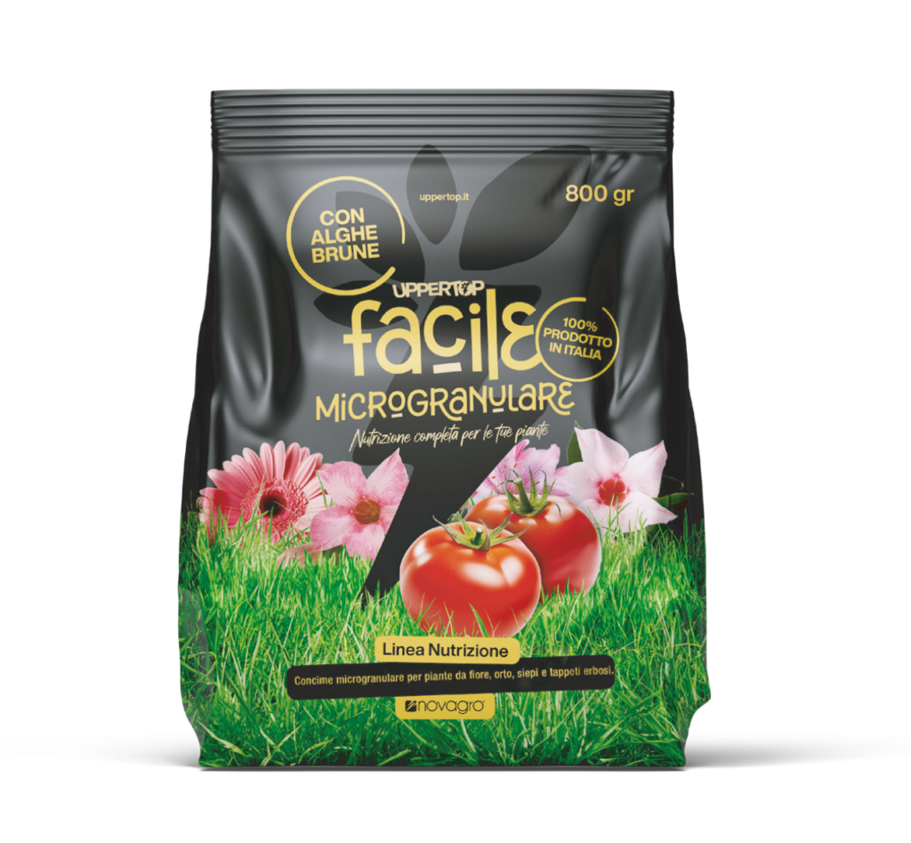 FACILE 800 GR sacchetto